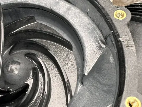The wet end of a hot tub pump, opened up to show the impeller